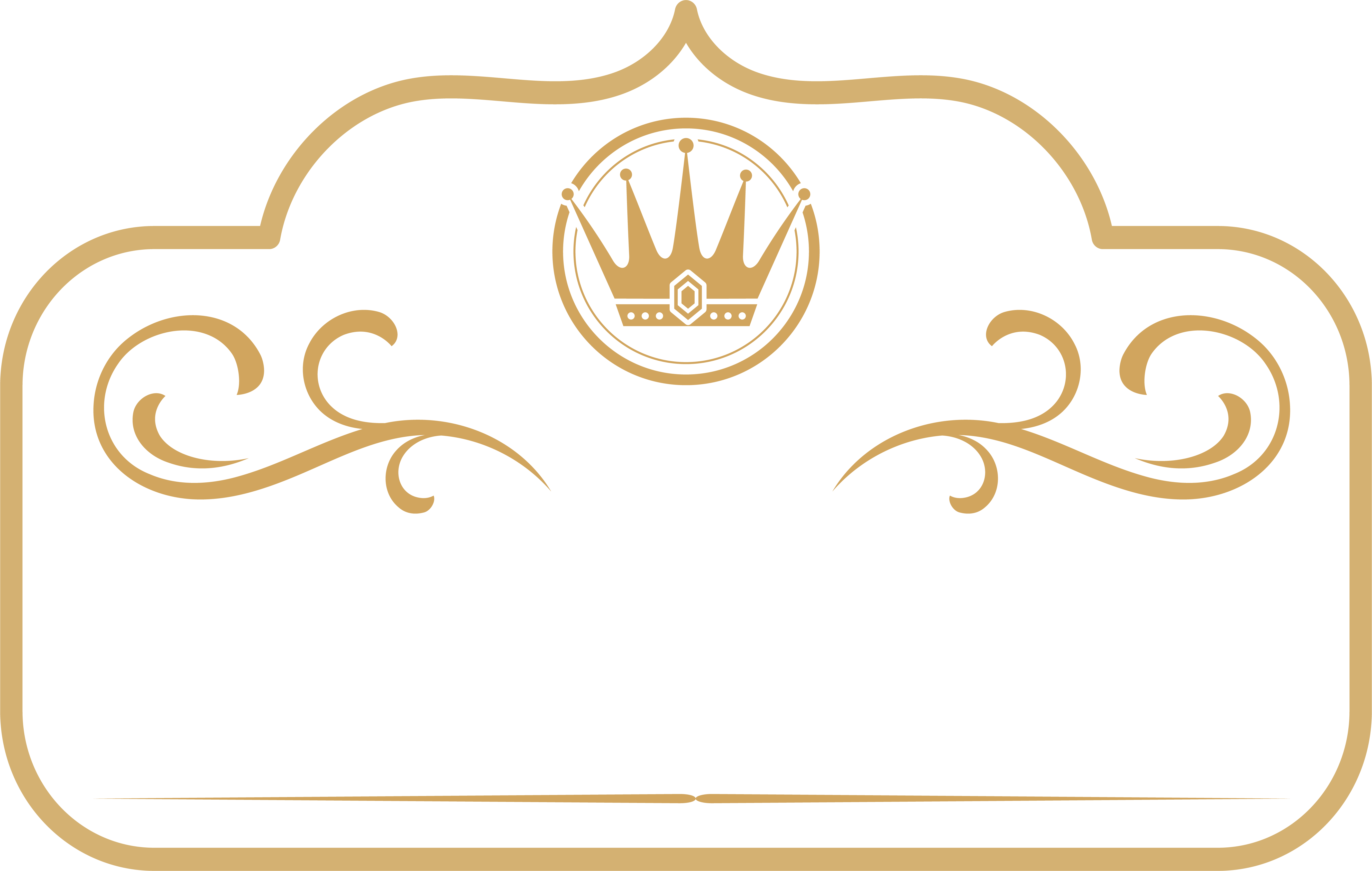 99 Biryani Logo